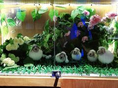 -呷哺呷哺 黄金牧场 (阳泉滨河新天地店)