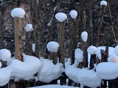 -雪谷