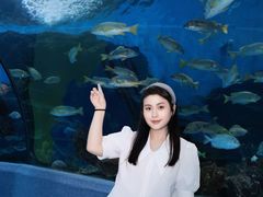 -合肥海洋世界