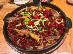 -老板恋上鱼(高新万达店)