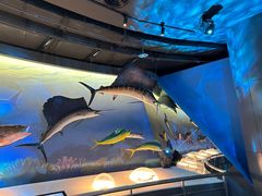 -陕西自然博物馆