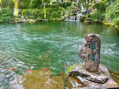 -趵突泉景区