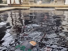 -苏州湾·王焰温泉