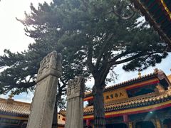 -五台山风景名胜区