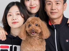 -iF摄影•全家福•证件照•形象照(南山店)