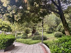 -重庆平顶山公园