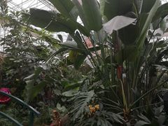 -沈阳植物园
