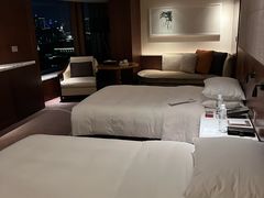 -广州白天鹅宾馆