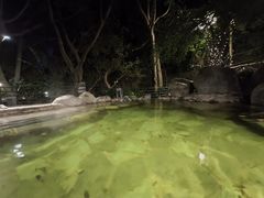 -湖泉半山温泉(湖泉生态园)