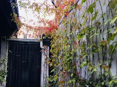 -悦真雅院·四合院·清真私房菜(雍和宫店)