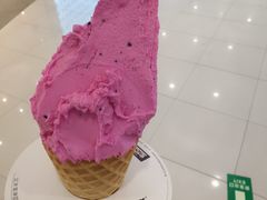 -野人先生Gelato(上海长宁龙之梦店)