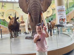 -陕西自然博物馆