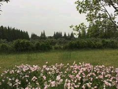 景点-上海长兴岛郊野公园