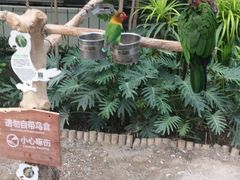 -南宫五洲植物乐园