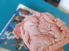 -芜湖新华联大白鲸海洋公园