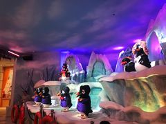 -帝企鹅自助餐厅•儿童岛•真企鹅(长隆企鹅酒店)