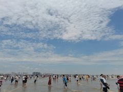 -奉贤海滩