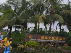 -呀诺达热带雨林