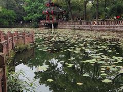 -房湖公园