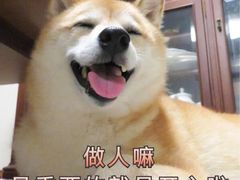 -楚湘苑(商品街大道店)