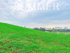 -白鹭湾湿地公园