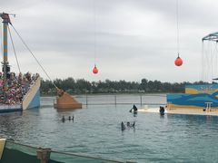 -秦皇岛乐岛海洋王国