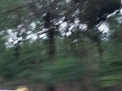 android_upload_pic-枫花园汽车电影院(朝阳公园店)