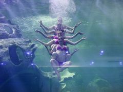 -多彩贵州城极地海洋世界