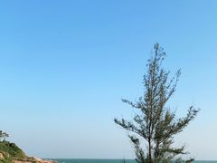-广东惠东海龟国家级自然保护区