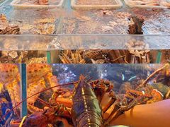 -南海渔村(珠江新城店)