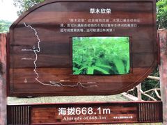 -海南热带雨林国家公园吊罗山景区