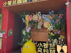 -小苍兰风铃草蛋糕甜品(沈阳店)