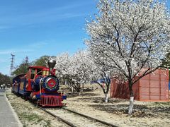 -永定河休闲森林公园