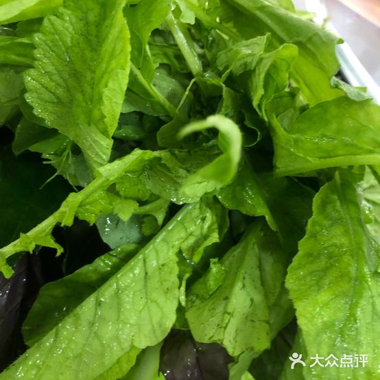 施秉牛肉馆(西南国际商贸城店)
