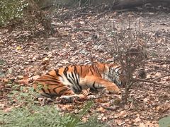 -上海动物园(地铁站)