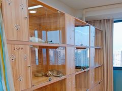 -猫十亿·布偶金渐层·曼基康矮脚猫舍(青年路店)
