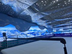 -Hopo Snow 城市滑雪空间(滨江宝龙城店)
