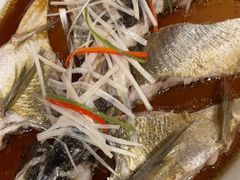 -丹江渔村(望京店)