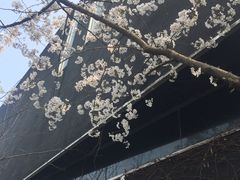 -成都许燎源现代设计艺术博物馆