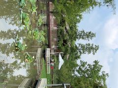 -同里国家湿地公园
