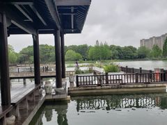-洋湖国家湿地公园