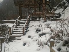 -青峰峡国家森林公园