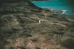 -玛莎莉莉全球旅拍