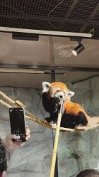 -Zoolung Zoolung动物主题公园(海信广场店)