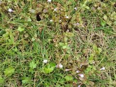 android_upload_pic-福建鲤鱼洲酒店