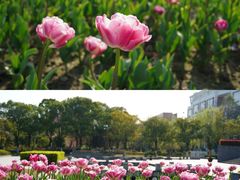 -杭州电子科技大学(下沙校区)