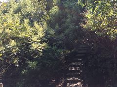 -云碧峰国家森林公园