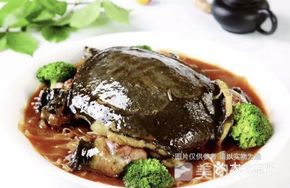 Stewed Giant Softshell Turtle