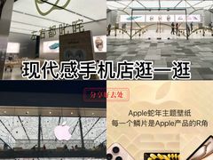 -Apple零售店(成都太古里店)