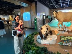 -陕西自然博物馆